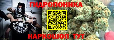 spice Будённовск