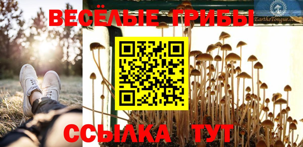 Удомля  что такое   Вход с VPN  Псилоцибиновые грибы Cubensis 